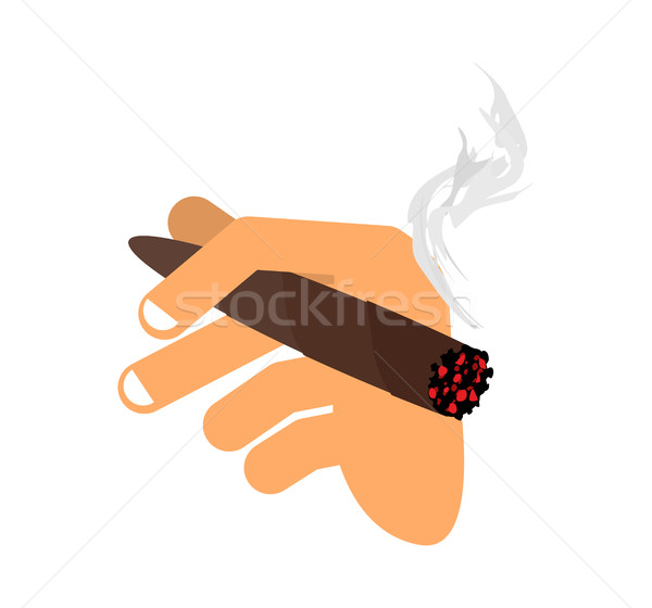 Hand with cigar isolated. Men Hand holding smoke cigarette. Fing Stock photo © popaukropa