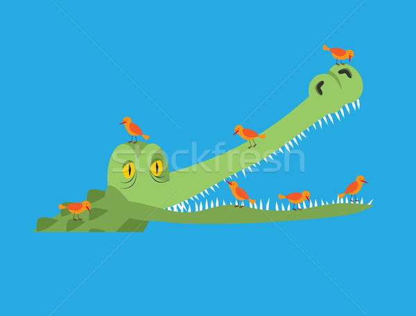 Crocodile and bird. Little birds clean alligator teeth. Symbioti Stock photo © popaukropa
