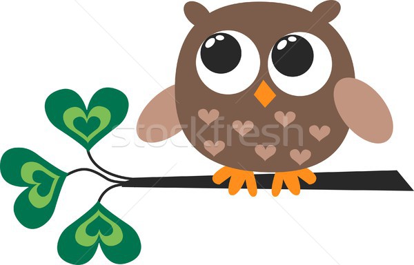 Stock photo: a sweet Little Brown owl