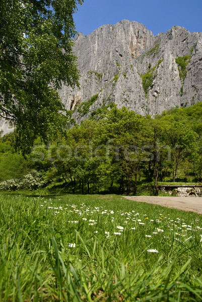 Parco montagna fioritura valle ripida rocce Foto d'archivio © Pozn