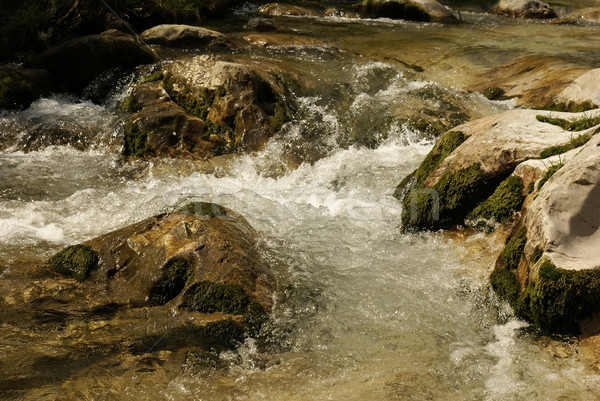 Pietre acqua montagna piccolo fiume Bulgaria Foto d'archivio © Pozn