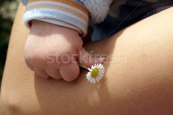 çocuk çiçek bebek aile çocuk güzellik Stok fotoğraf © Pozn