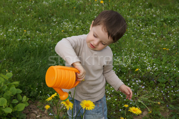 Erkek dikkatlice çiçekler çim bahar çocuklar Stok fotoğraf © Pozn
