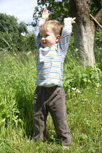 радости мальчика трава саду дерево Сток-фото © Pozn
