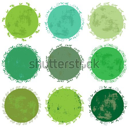 Round green vector floral labels or tags  Stock photo © Pravokrugulnik