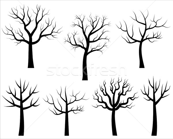 Vektör çıplak ağaç siluetleri siyah stilize Stok fotoğraf © Pravokrugulnik