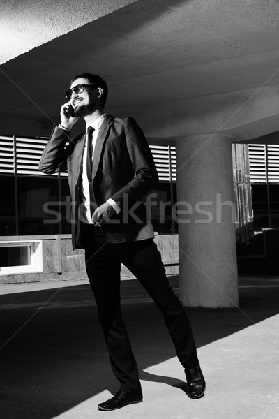 Successful businessman Stock photo © pressmaster