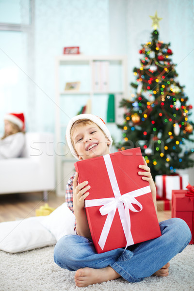 Lad with gift Stock photo © pressmaster