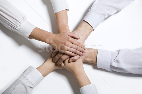 Alle een geïsoleerd witte vier gezamenlijk Stockfoto © pressmaster