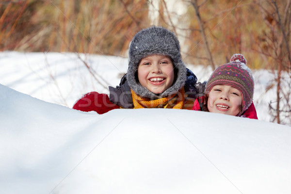 Hiding in snow Stock photo © pressmaster