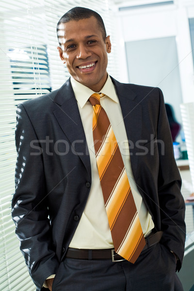 Chef Executive Offizier Porträt erfolgreich Chef Stock foto © pressmaster
