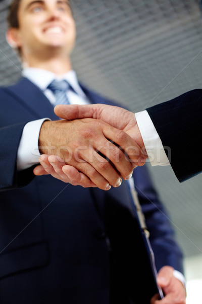 Vrolijk twee zakenman gelukkig handen schudden geslaagd Stockfoto © pressmaster