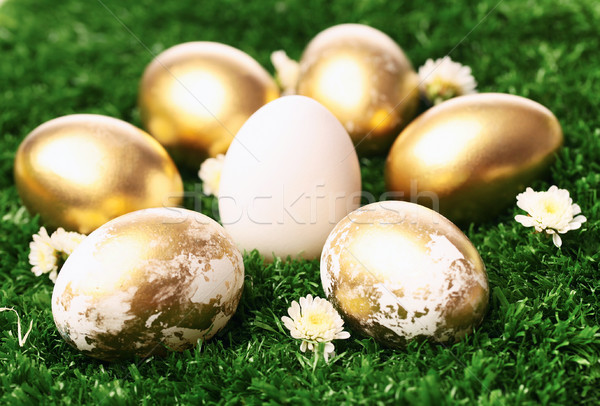 Pasqua simboli easter eggs erba verde primavera Foto d'archivio © pressmaster