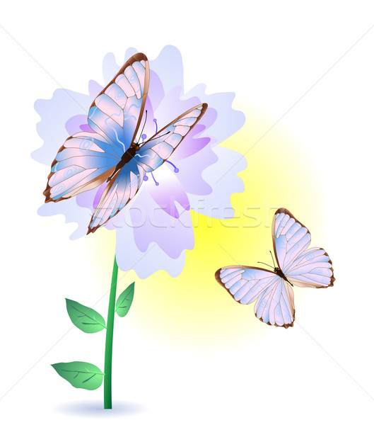 Kék virág pillangók kettő tavasz absztrakt természet Stock fotó © pressmaster