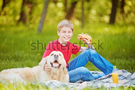 Piquenique cão retrato bonitinho rapaz fofo Foto stock © pressmaster