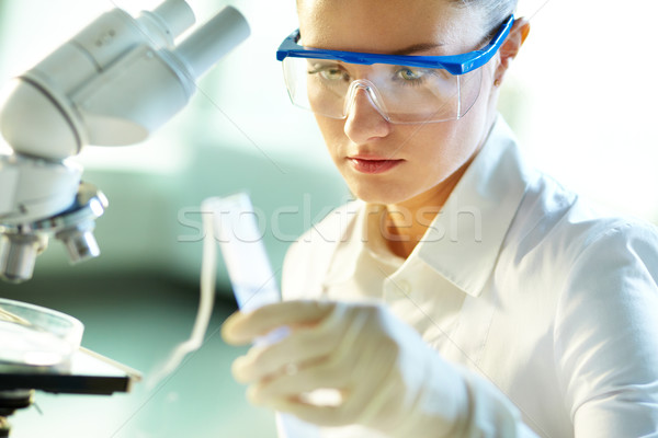 Estudiar químicos sustancia femenino nuevos laboratorio Foto stock © pressmaster