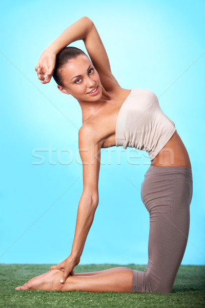 Edzés portré fiatal nő nő fű boldog Stock fotó © pressmaster