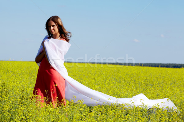 Foto stock: Hermosa · dama · imagen · feliz · mujer · doblado