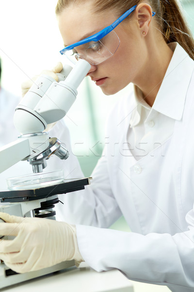 Working with microscope Stock photo © pressmaster