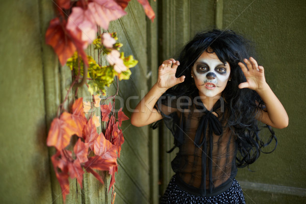 Kicsi boszorkány portré halloween lány ijesztő Stock fotó © pressmaster