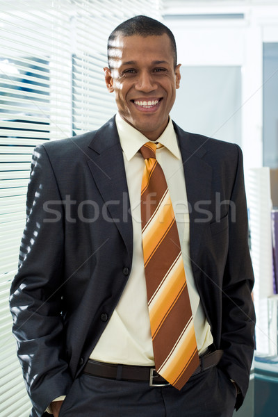 Glücklich Spezialist Porträt Mann Anzug stehen Stock foto © pressmaster