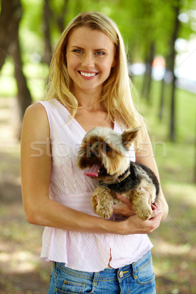 Owner of yorkie Stock photo © pressmaster