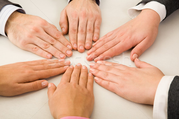 Insieme immagine business partner mani cerchio Foto d'archivio © pressmaster