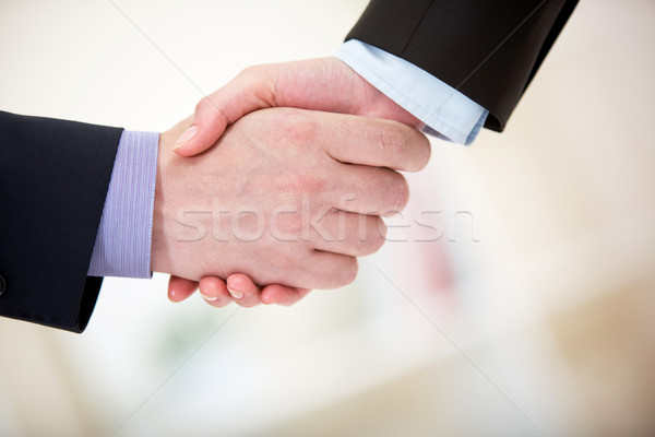 Handshaking Stock photo © pressmaster