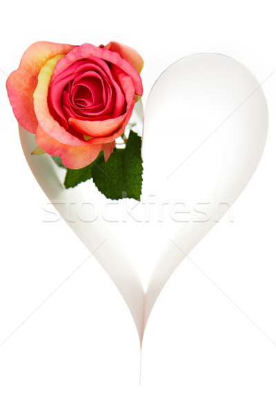 Coeur Fleur Up Papier Rose Blanche Photo Stock