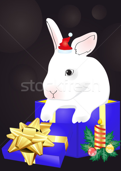 rabbit sitting in the red giftbox  Stock photo © pressmaster