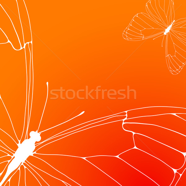 Stock photo: orange background 