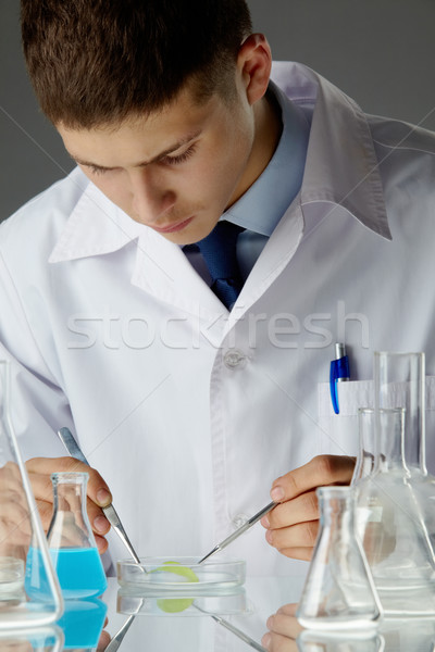 Bio amostra masculino cientista estudar biológico Foto stock © pressmaster