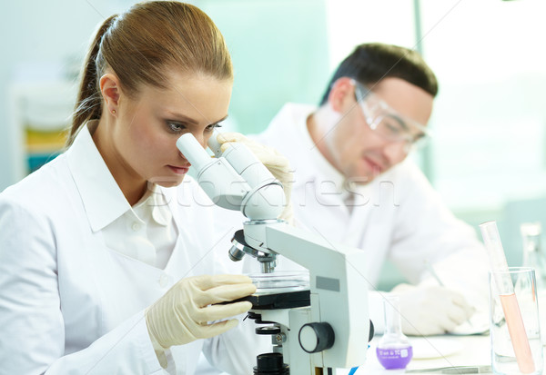 Csinos gyakornok tanul példány mikroszkóp kolléga Stock fotó © pressmaster