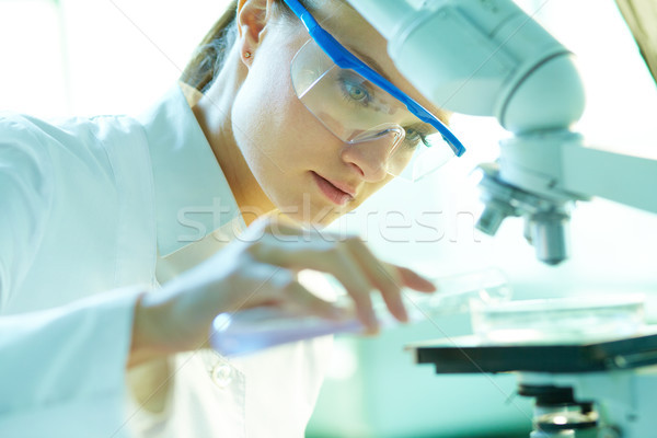 Foto stock: Feminino · químico · sério · trabalhando · laboratório · menina