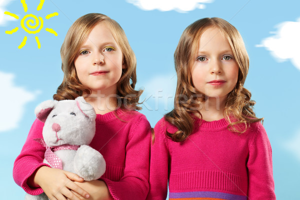 Zwillinge Porträt zwei smart Mädchen hochrot Stock foto © pressmaster