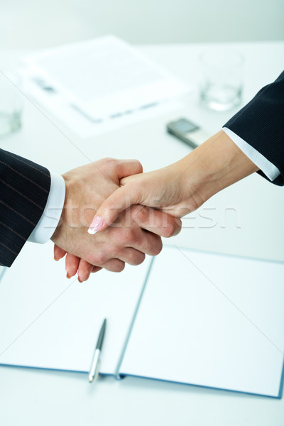 After signing agreement  Stock photo © pressmaster