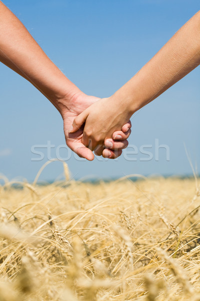 Stock foto: Menschlichen · Hände · Bild · weiblichen · männlich · zusammen
