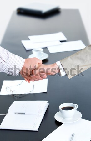 Partnership Stock photo © pressmaster