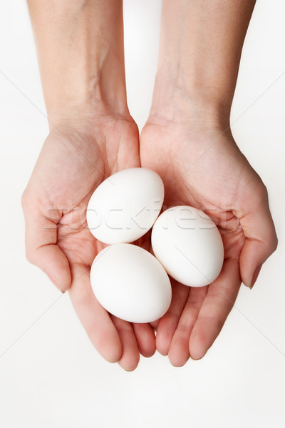 Eggs in hands Stock photo © pressmaster