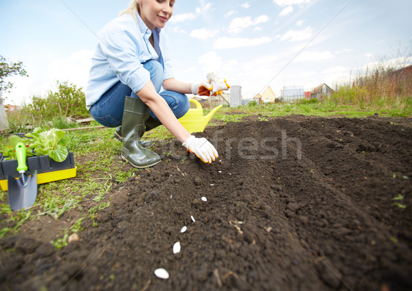 Zaaien zaad afbeelding vrouwelijke landbouwer tuin Stockfoto © pressmaster