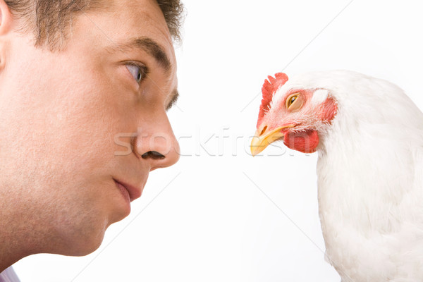 Zdjęcia stock: Człowiek · domowych · twarz · patrząc · kurczaka