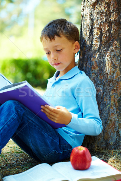 Loisirs portrait puce garçon parc lecture [[stock_photo]] © pressmaster