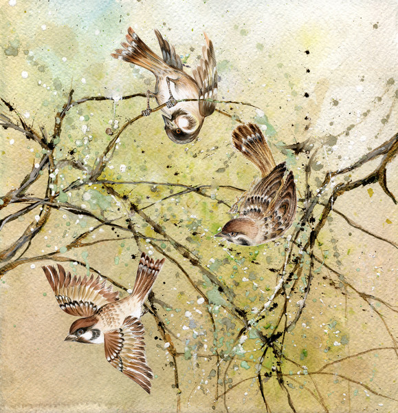 Three sparrows Stock photo © pressmaster