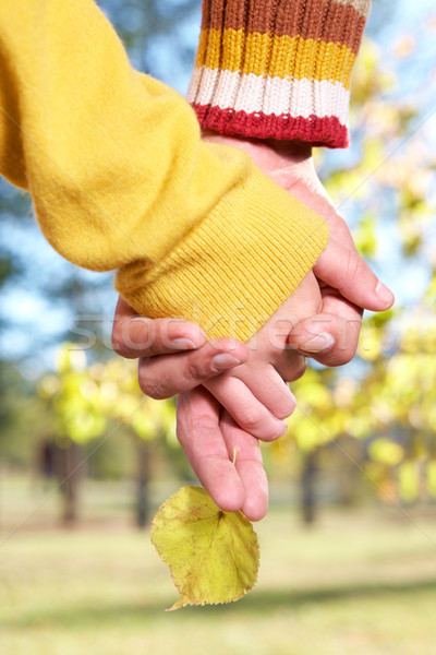 Jesienią romans Fotografia dwa ludzi ręce Zdjęcia stock © pressmaster
