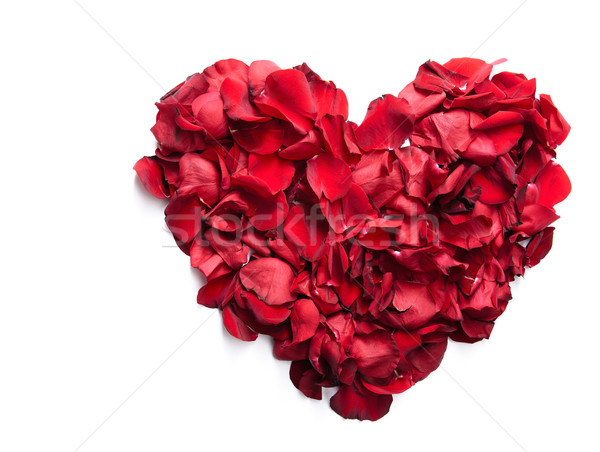 Inimă trandafir rosu petale in sus Imagine de stoc © pressmaster