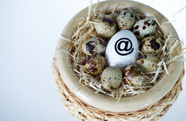 Net egg Stock photo © pressmaster