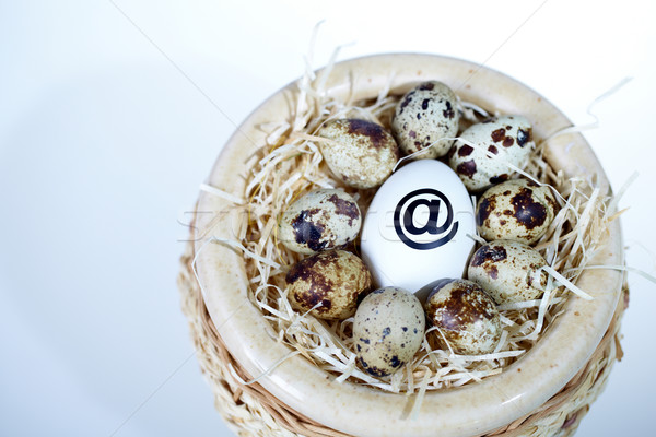 Eggs in nest Stock photo © pressmaster