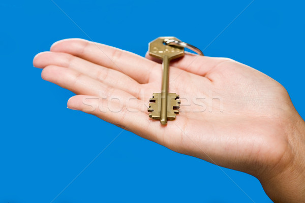 Golden key Stock photo © pressmaster
