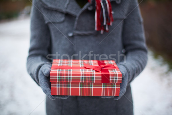 Holding giftbox Stock photo © pressmaster