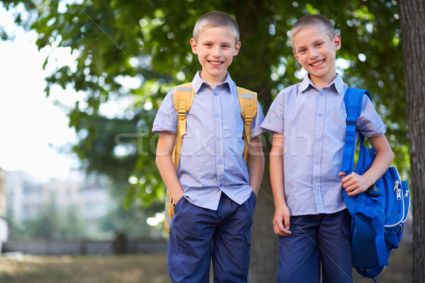 Gêmeo imagem feliz meninos em pé verão Foto stock © pressmaster